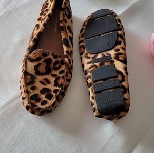 Antonio Melanie Colbert